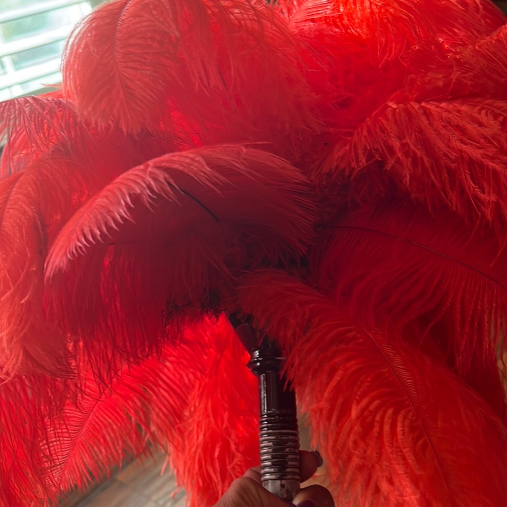 Two sets of red feathers for party are wedding
